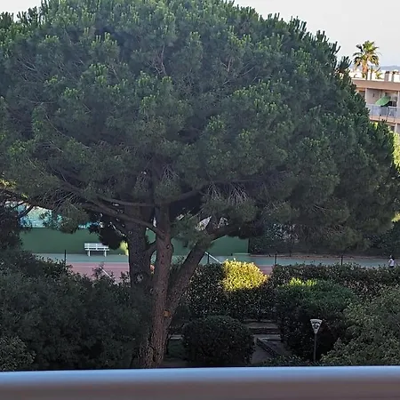 Appartement Climatise Avec Coin Nuit 150m De La