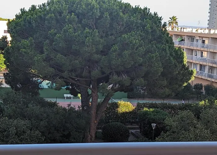 Appartement Climatise Avec Coin Nuit 150m De La